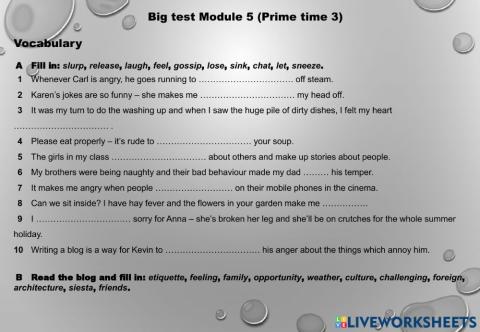 Big test module 5 (prime time 3 1st part)