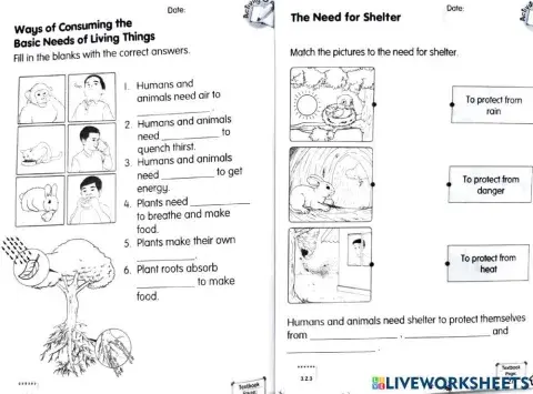 Basic needs of living things