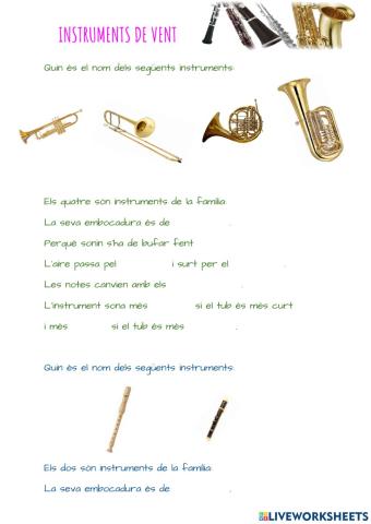 Instruments de Vent
