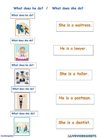 What does he do - what does she do? 2