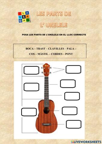 Les parts de l'ukelele