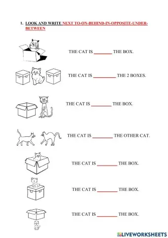 Prepositions of Place
