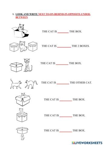 Prepositions of Place