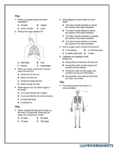 Muscles and bones practice quiz