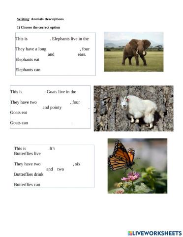 Animals descriptions I