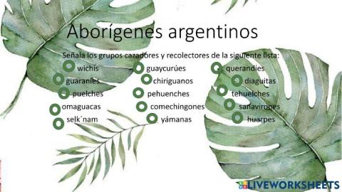 Aborígenes argentinos