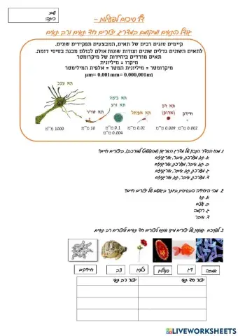 ביולוגיה -תאים