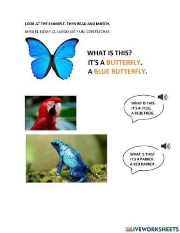 What is this? Animals