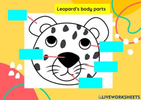 Leopard-body parts