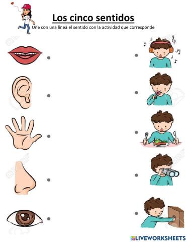 Cinco sentidos
