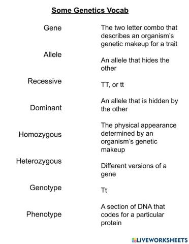 Some Genetics Vocabulary