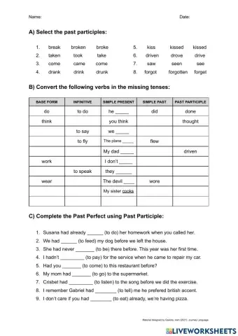 Past Participle Practice