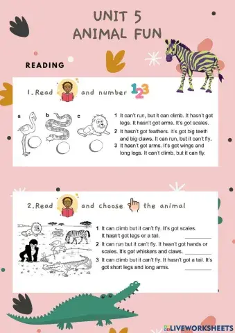 Animal FUN level 3 test ACI