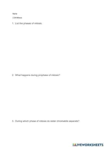 2.34 Mitosis