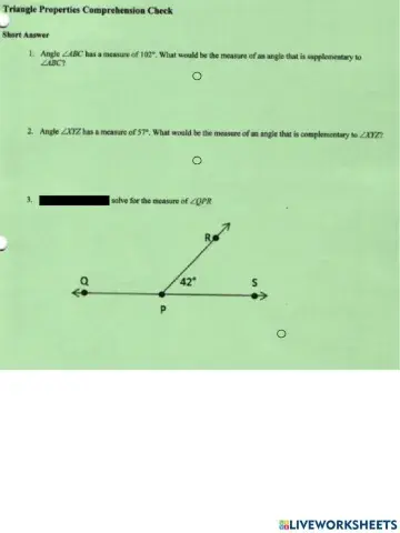 Triangle Properties Comp Check