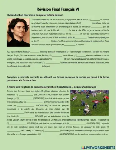 Révision Final Français VI