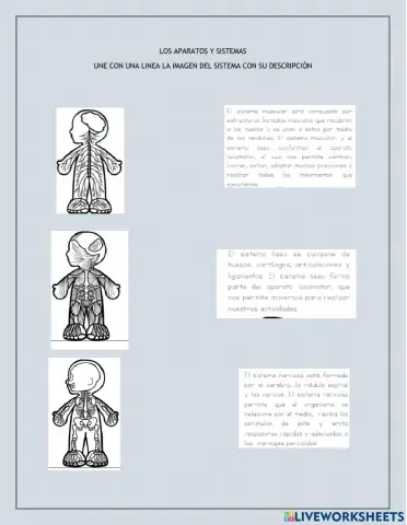 Los aparatos y sistemas