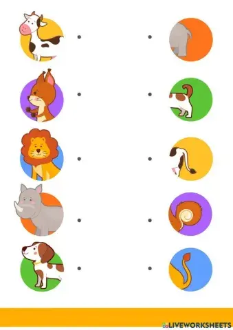 Unir cuerpo animales