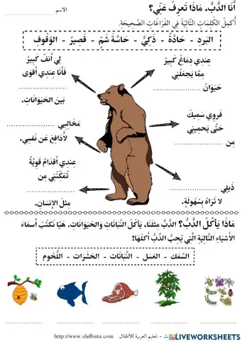 قصة خمسة دببة داخل الكهف