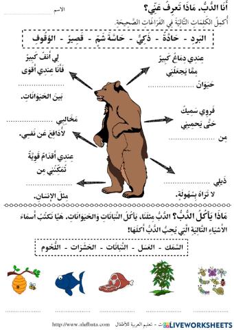 قصة خمسة دببة داخل الكهف