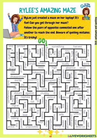 RyLee's Amazing Maze!