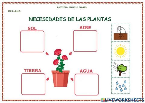 Necesidades de las plantas