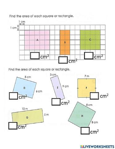 Area of Rectangles 3