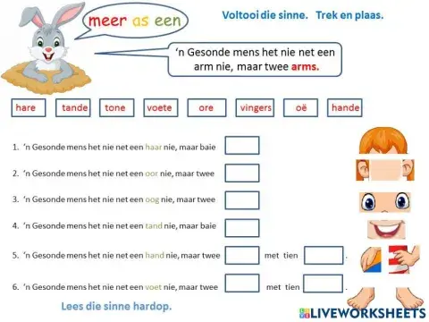 Liggaamsdele meervoude