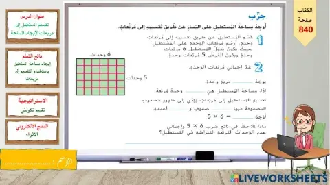 نشاط عملي-تقسيم المستطيل