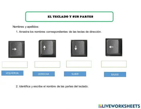 El teclado y sus partes