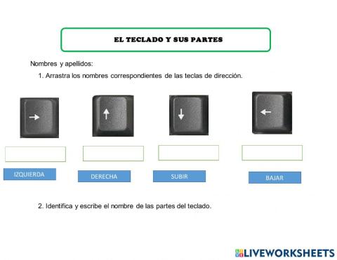 El teclado y sus partes