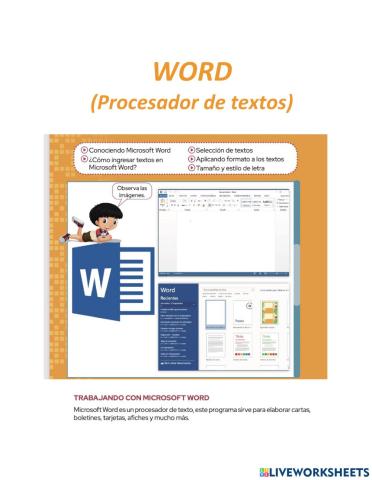 Word parte 1 (teoria)