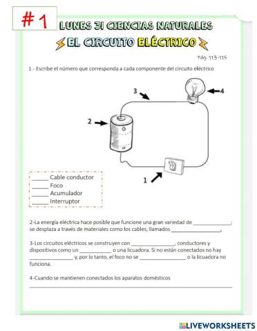 El circuito eléctrico