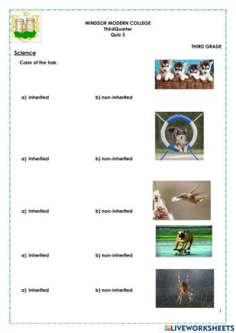 Sc quiz 3 3rdquiz