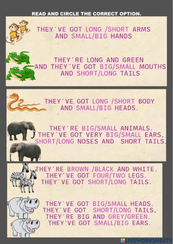 Animals descriptions