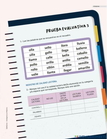 Actividad evaluacion letra ll