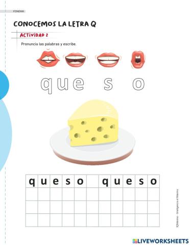 Actividad 2 letra q