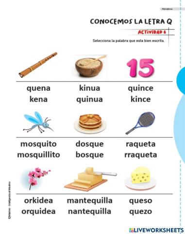Actividad 6 letra q