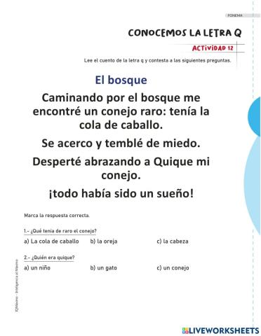 Actividad 12 letra q