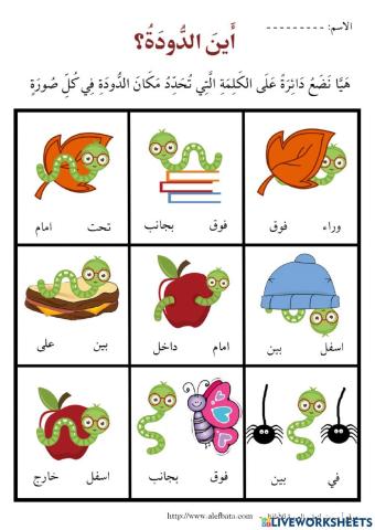 ظرف المكان أين الدودة