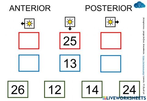 Anterior y posterior