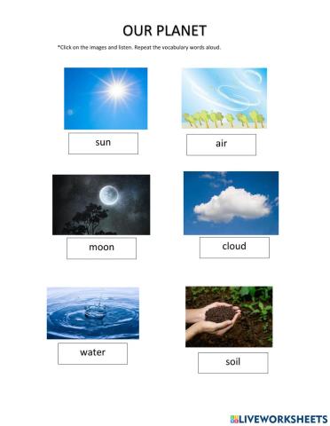 Our Planet vocabulary