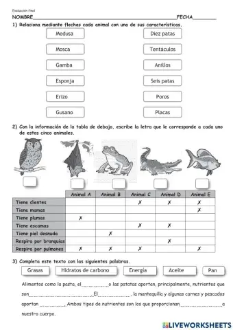Evaluación final de naturales