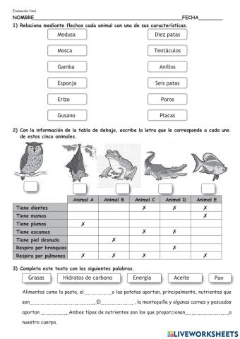 Evaluación final de naturales