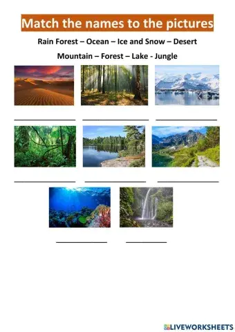 Places where animals live - Big English 3