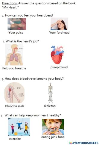 My Heart reading questions