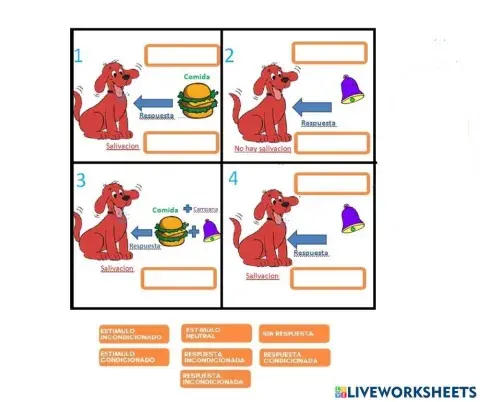 Psicologia. condicionamiento clasico
