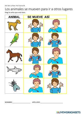 Los animales se desplazan