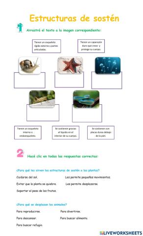 Estructuras de sostén