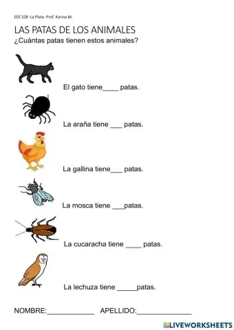 Las patas de los animales